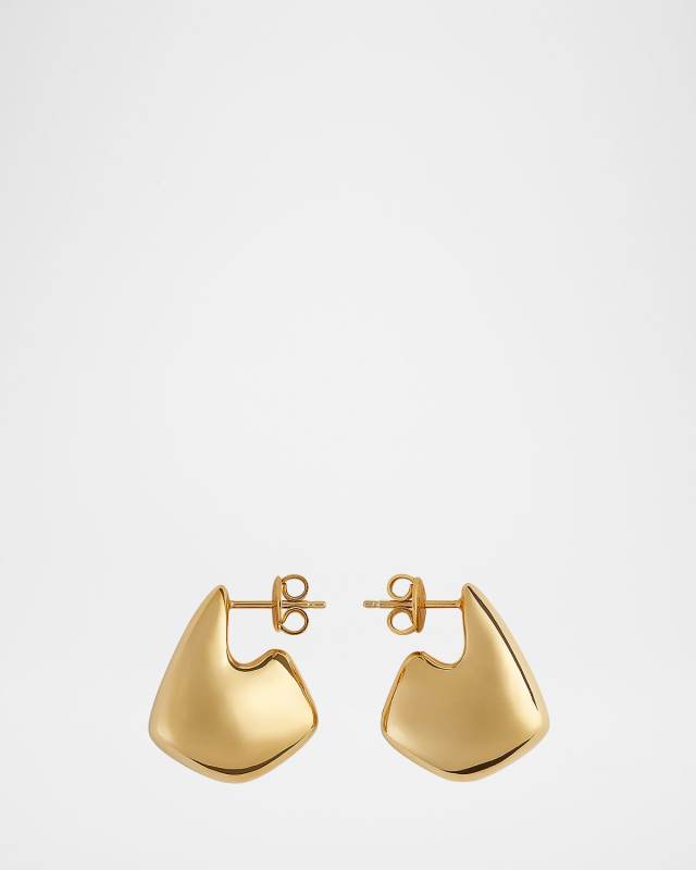 Gold Finish Sculpted Earrings